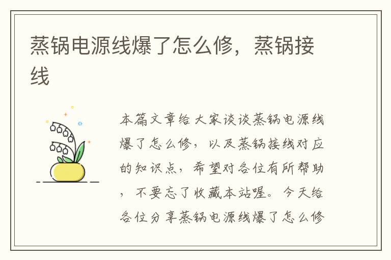 蒸锅电源线爆了怎么修,蒸锅接线