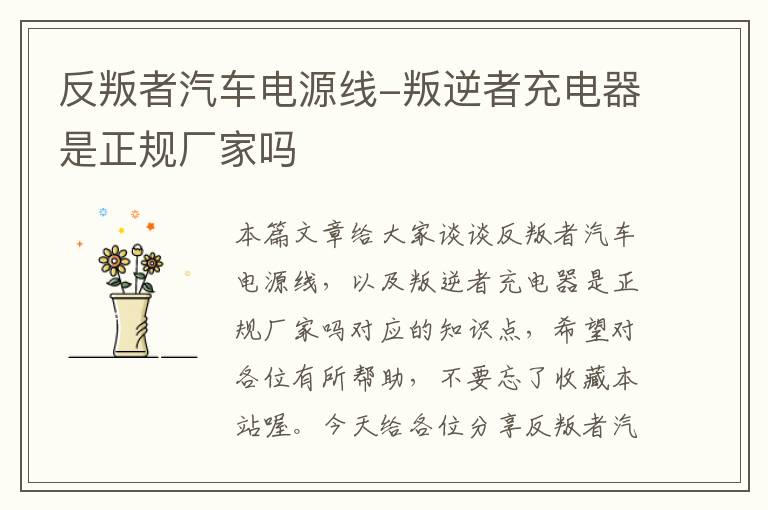反叛者汽车电源线-叛逆者充电器是正规厂家吗