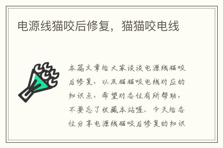 电源线猫咬后修复,猫猫咬电线