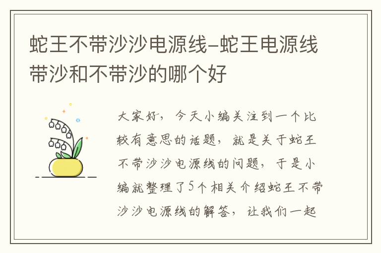 蛇王不带沙沙电源线-蛇王电源线带沙和不带沙的哪个好
