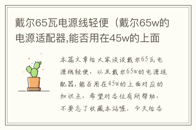 戴尔65瓦电源线轻便(戴尔65w的电源适配器,能否用在45w的上面)