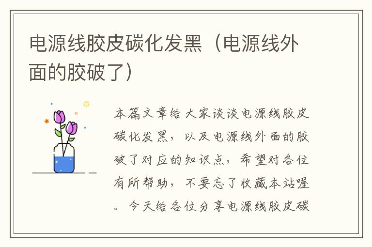 电源线胶皮碳化发黑(电源线外面的胶破了)