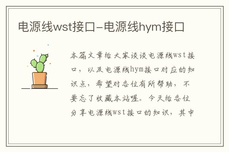 电源线wst接口-电源线hym接口