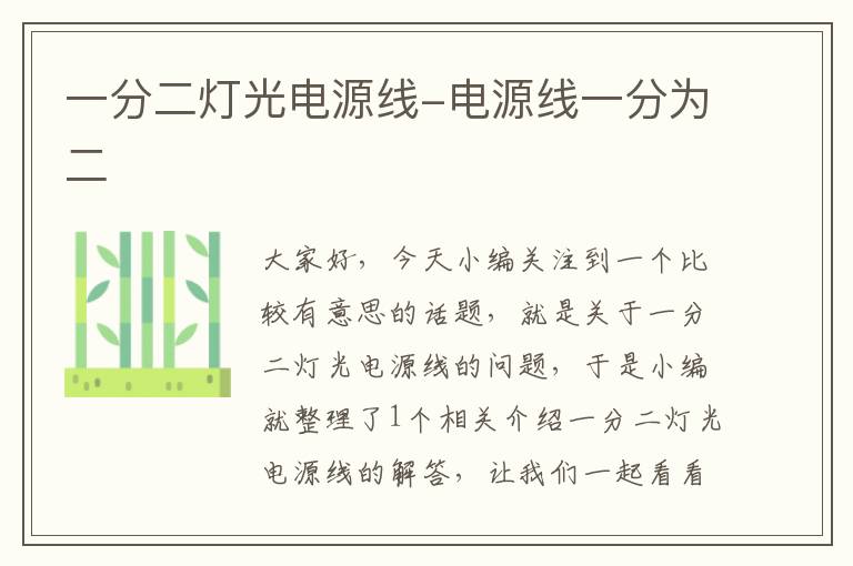 一分二灯光电源线-电源线一分为二
