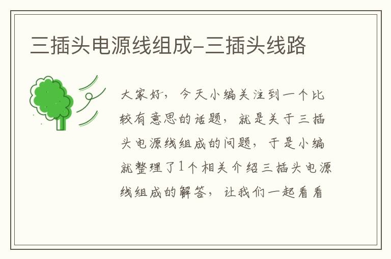 三插头电源线组成-三插头线路