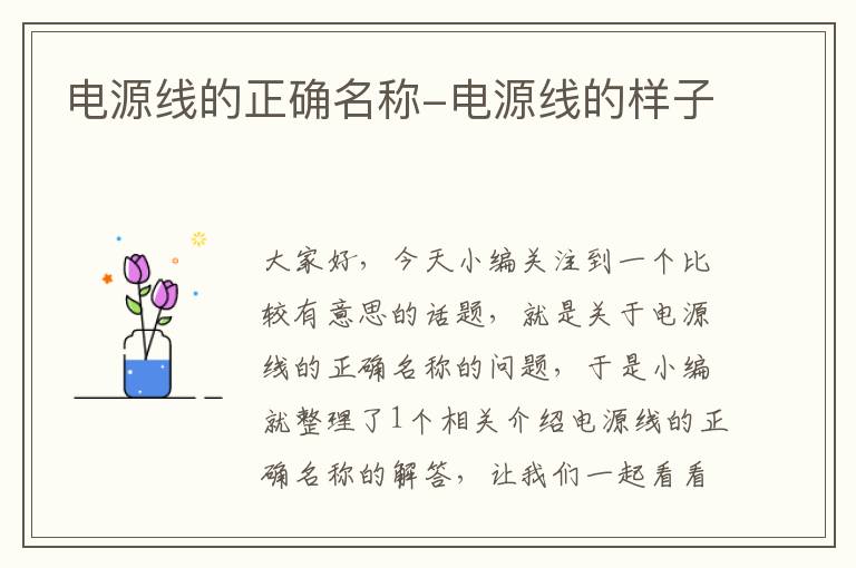 电源线的正确名称-电源线的样子