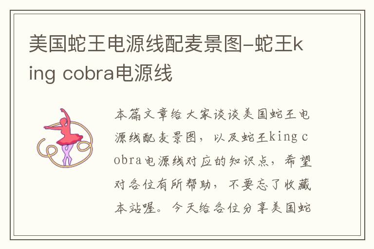 美国蛇王电源线配麦景图-蛇王king cobra电源线