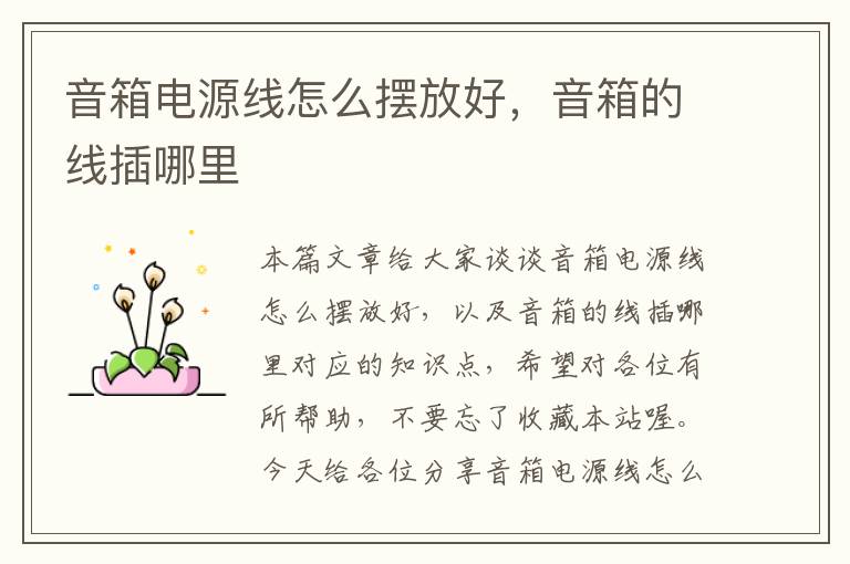 音箱电源线怎么摆放好,音箱的线插哪里