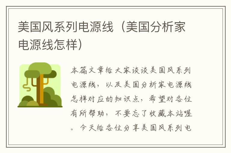 美国风系列电源线(美国分析家电源线怎样)