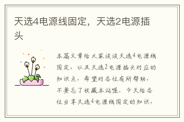 天选4电源线固定,天选2电源插头