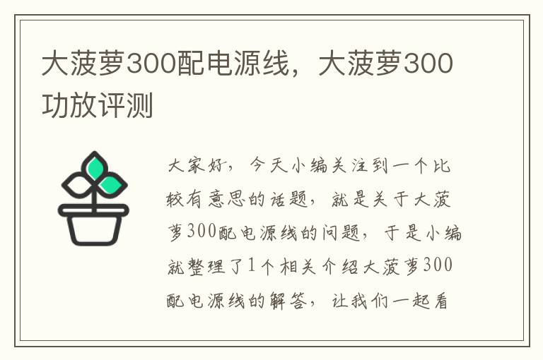 大菠萝300配电源线,大菠萝300功放评测