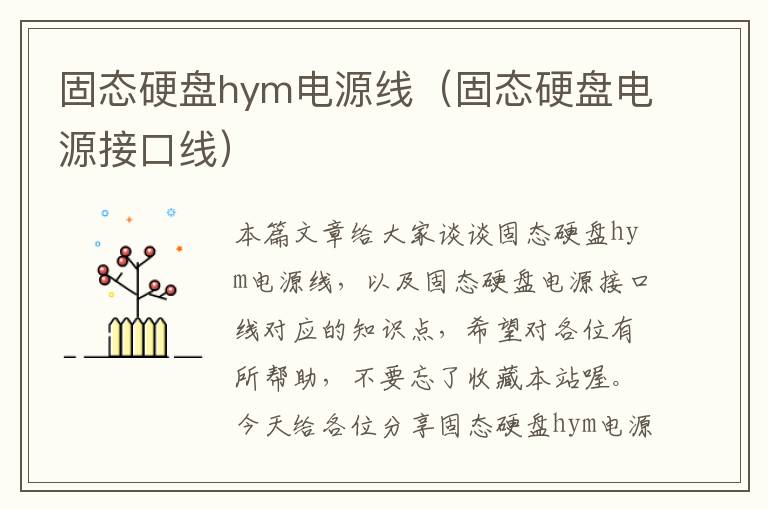 固态硬盘hym电源线(固态硬盘电源接口线)