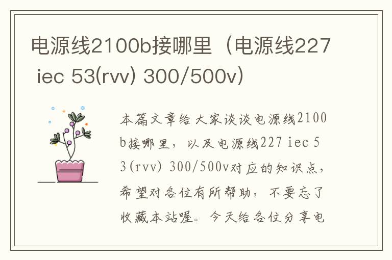 电源线2100b接哪里(电源线227 iec 53(rvv) 300/500v)