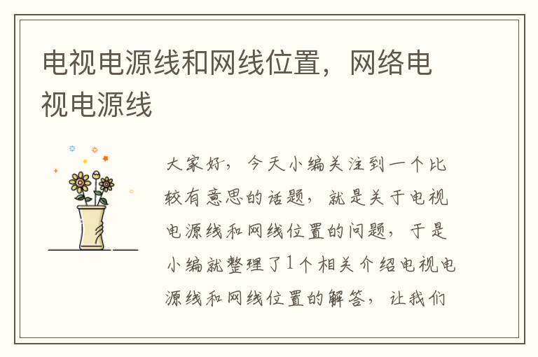 电视电源线和网线位置,网络电视电源线