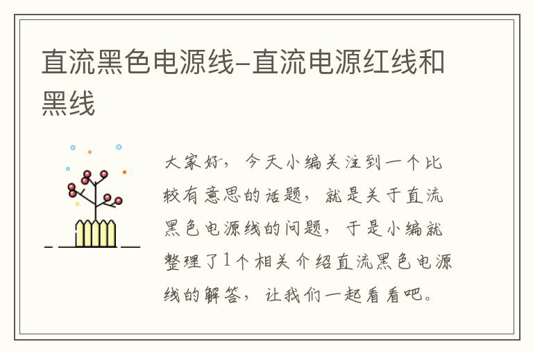 直流黑色电源线-直流电源红线和黑线