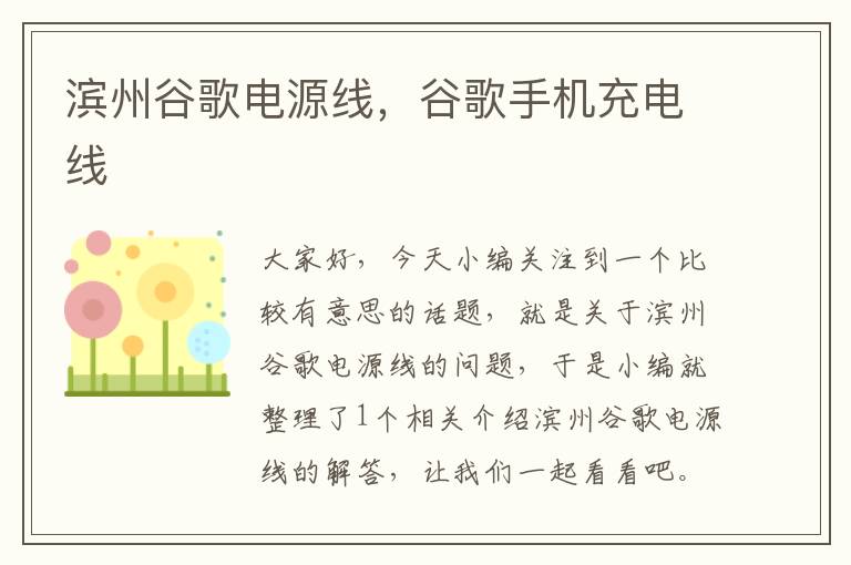 滨州谷歌电源线,谷歌手机充电线