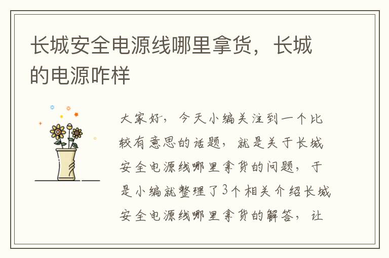 长城安全电源线哪里拿货,长城的电源咋样