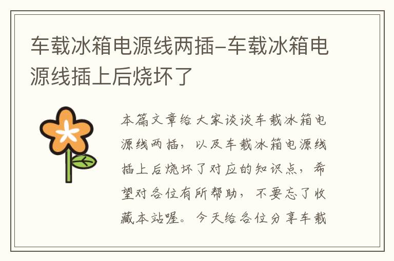 车载冰箱电源线两插-车载冰箱电源线插上后烧坏了