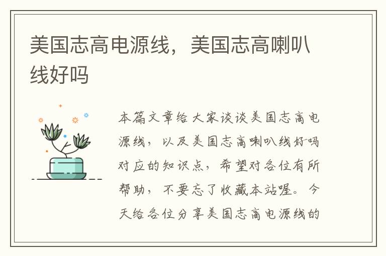 美国志高电源线,美国志高喇叭线好吗