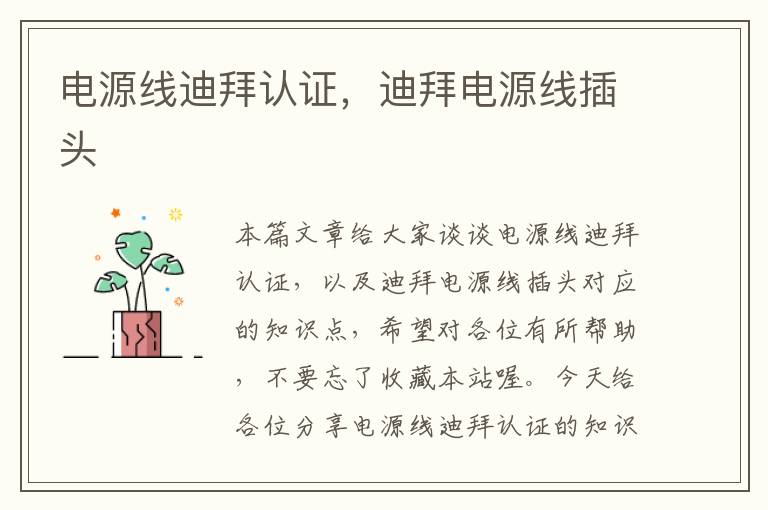 电源线迪拜认证,迪拜电源线插头