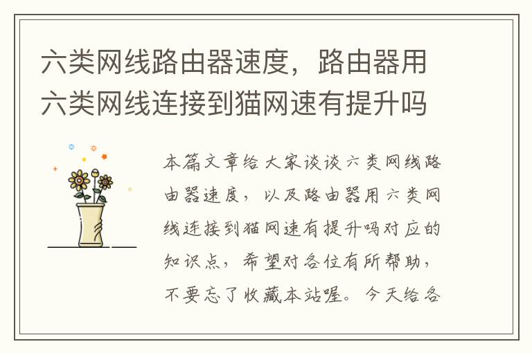 六类网线路由器速度,路由器用六类网线连接到猫网速有提升吗