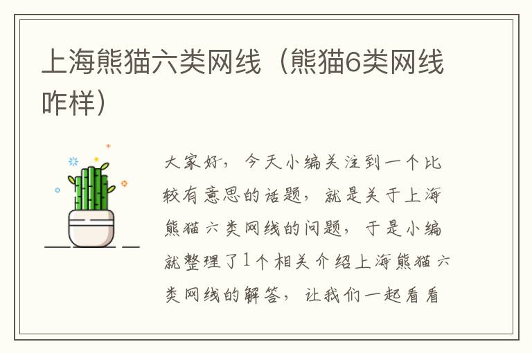 上海熊猫六类网线(熊猫6类网线咋样)