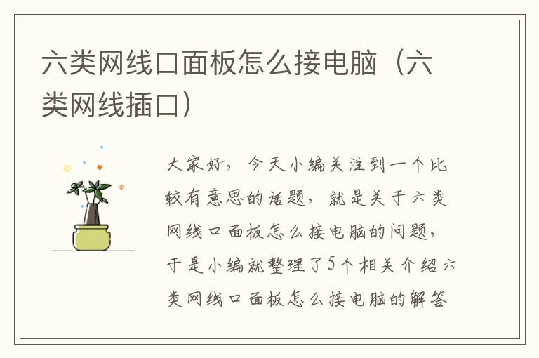 六类网线口面板怎么接电脑(六类网线插口)