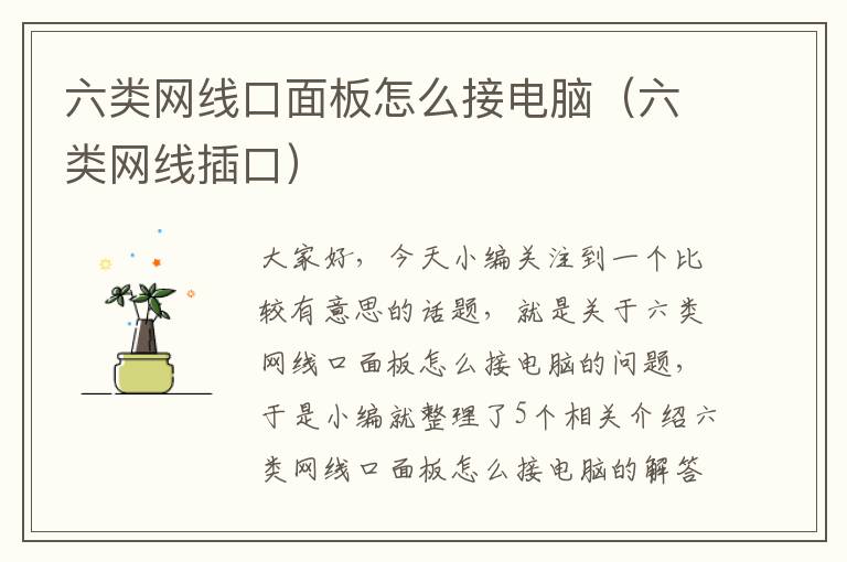 六类网线口面板怎么接电脑（六类网线插口）