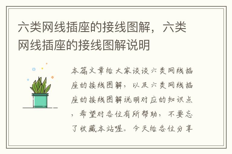 六类网线插座的接线图解,六类网线插座的接线图解说明