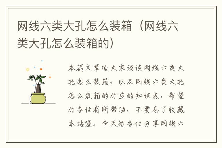 网线六类大孔怎么装箱(网线六类大孔怎么装箱的)