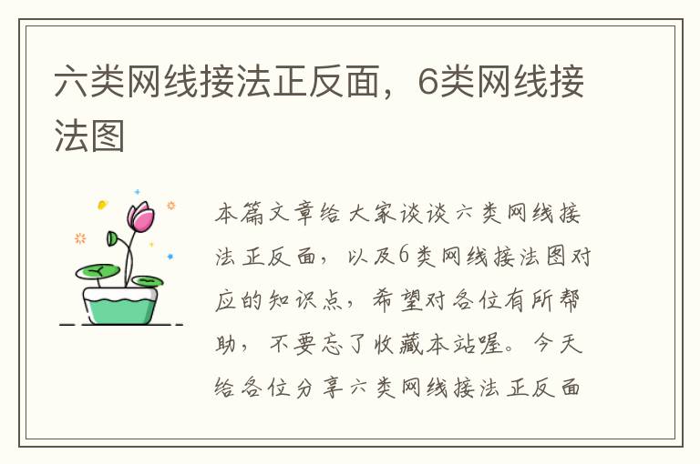 六类网线接法正反面,6类网线接法图