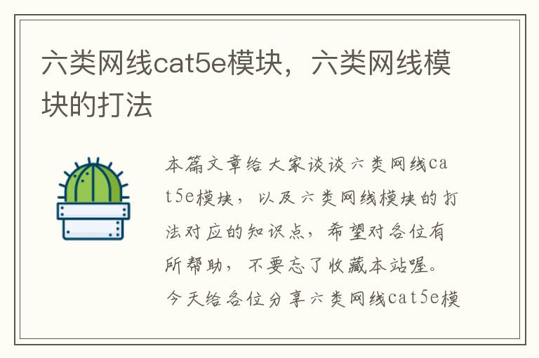六类网线cat5e模块,六类网线模块的打法