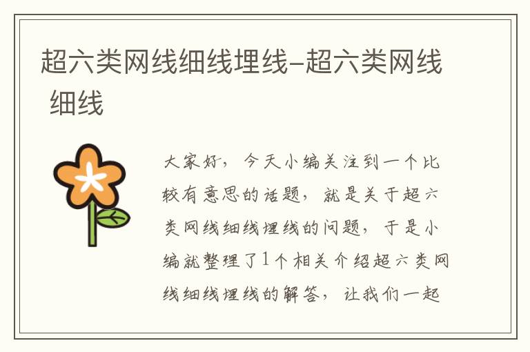 超六类网线细线埋线-超六类网线 细线