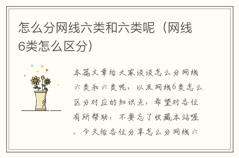 怎么分网线六类和六类呢(网线6类怎么区分)