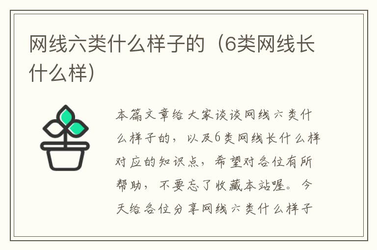 网线六类什么样子的(6类网线长什么样)