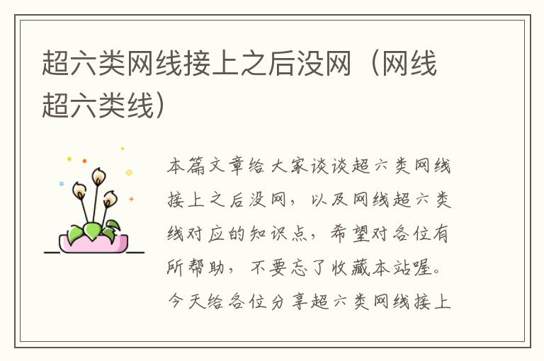 超六类网线接上之后没网(网线超六类线)