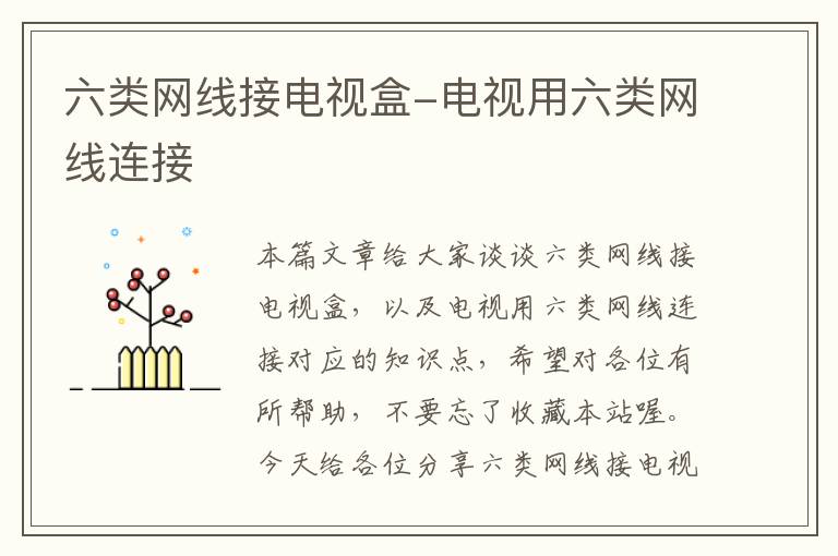 六类网线接电视盒-电视用六类网线连接