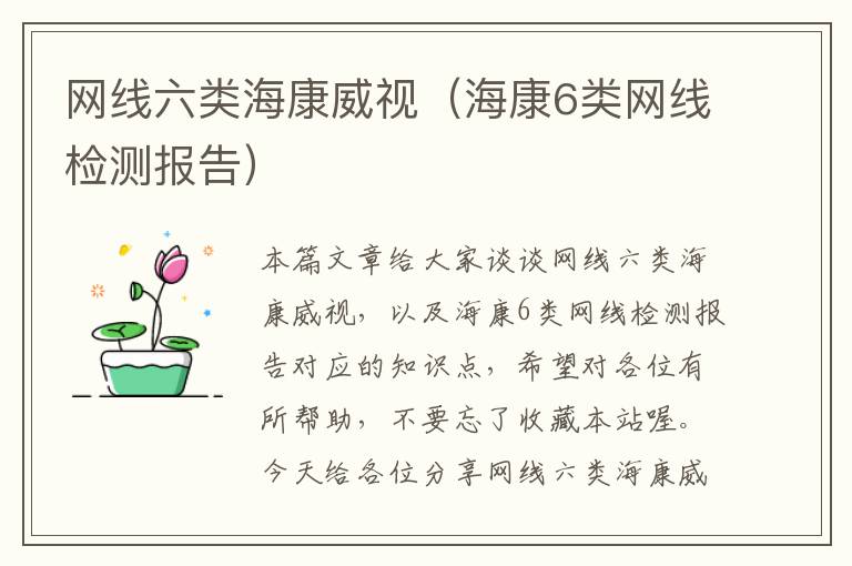 网线六类海康威视(海康6类网线检测报告)