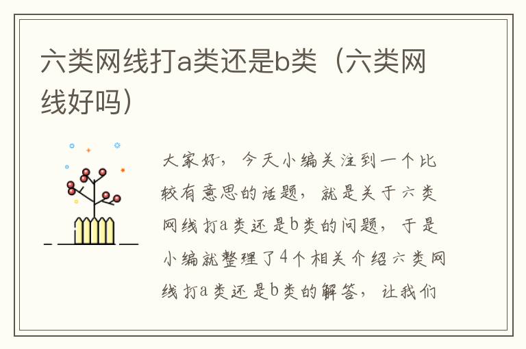 六类网线打a类还是b类(六类网线好吗)