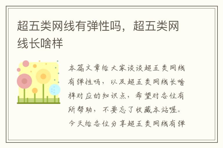 超五类网线有弹性吗,超五类网线长啥样