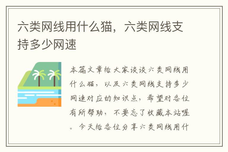 六类网线用什么猫,六类网线支持多少网速
