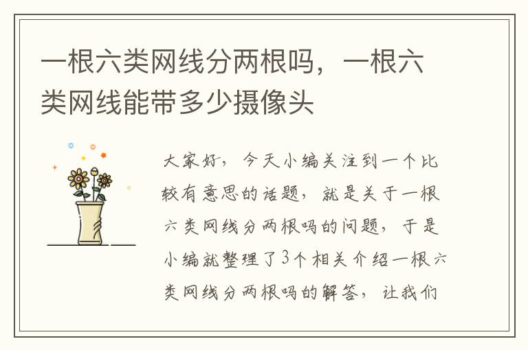 一根六类网线分两根吗，一根六类网线能带多少摄像头