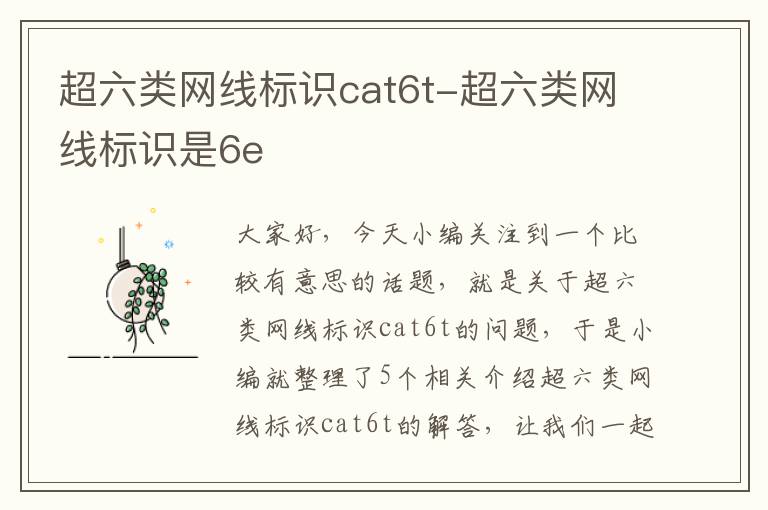 超六类网线标识cat6t-超六类网线标识是6e