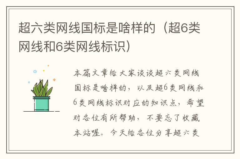 超六类网线国标是啥样的(超6类网线和6类网线标识)