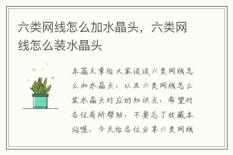 六类网线怎么加水晶头,六类网线怎么装水晶头