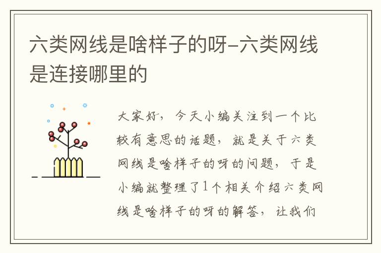 六类网线是啥样子的呀-六类网线是连接哪里的