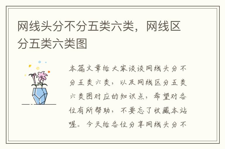 网线头分不分五类六类,网线区分五类六类图
