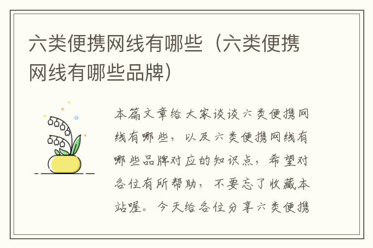 六类便携网线有哪些(六类便携网线有哪些品牌)