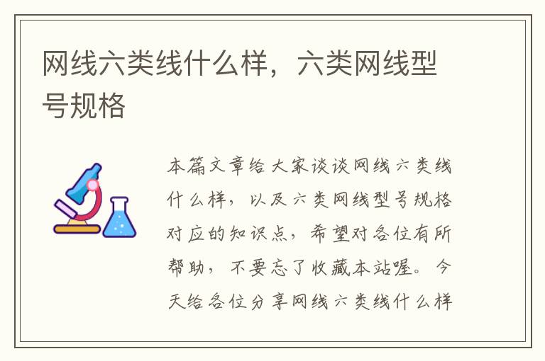网线六类线什么样,六类网线型号规格