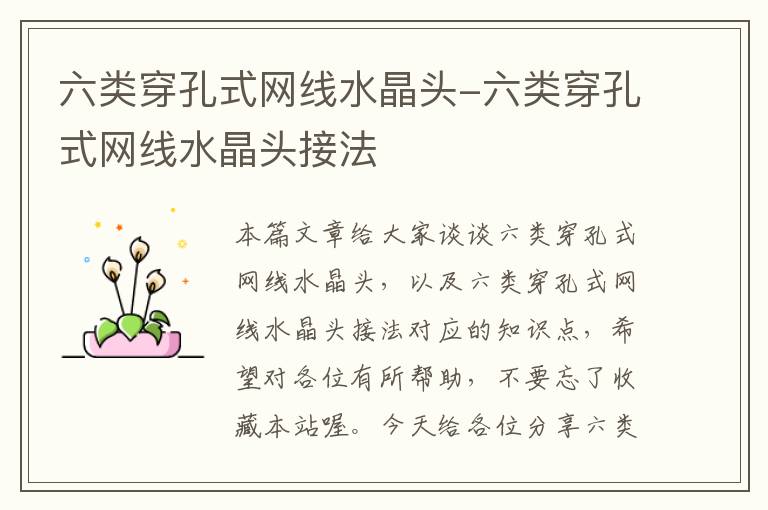 六类穿孔式网线水晶头-六类穿孔式网线水晶头接法